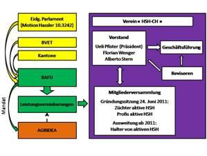 Organigramme